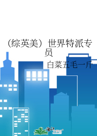 （综英美）世界特派专员