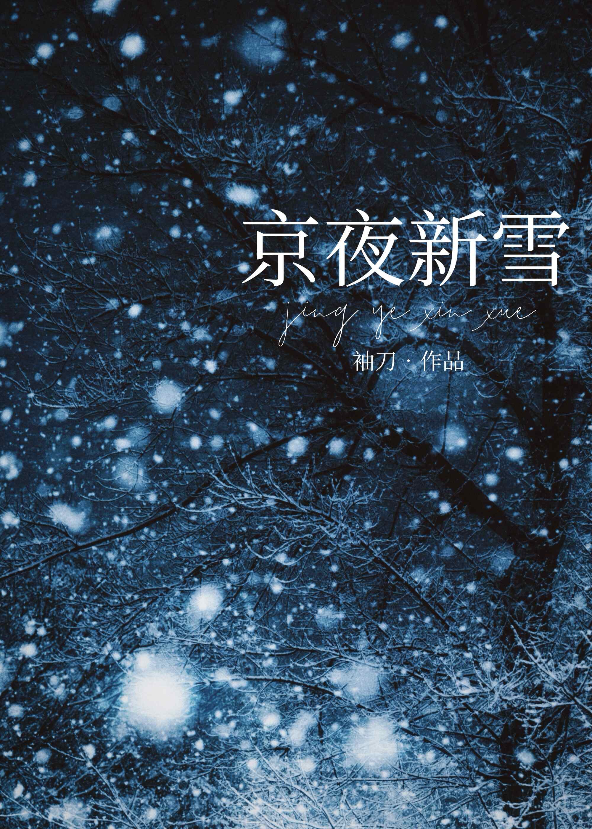 京夜新雪