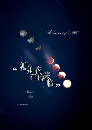 狐狸在夜晚来临